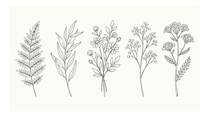 Minimalist botanical line art collection, hand drawn wildflower sketches, elegant floral vector set with fern and leaves for wedding stationery © I'm_coming