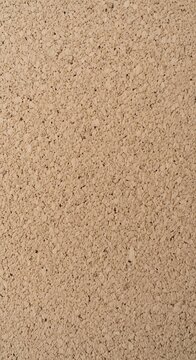 Close-up texture of natural earthy surface pattern.