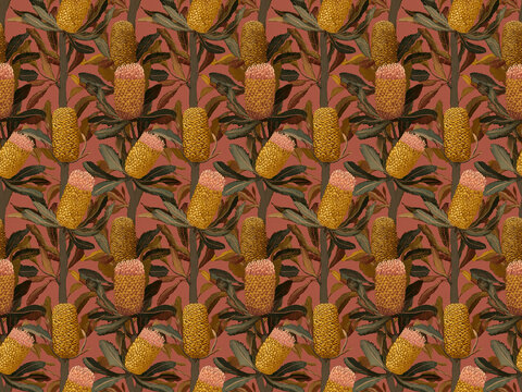 banksia flowers Australian wildflower repeating pattern on pink background