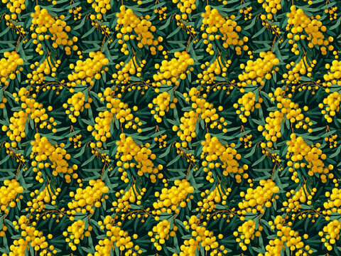 wattle flowers Australian wildflower repeating pattern