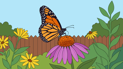 Butterfly Resting on Purple Coneflower in Pollinator Garden © Bima