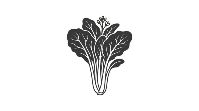 A detailed black and white line art illustration of a fresh bok choy vegetable.