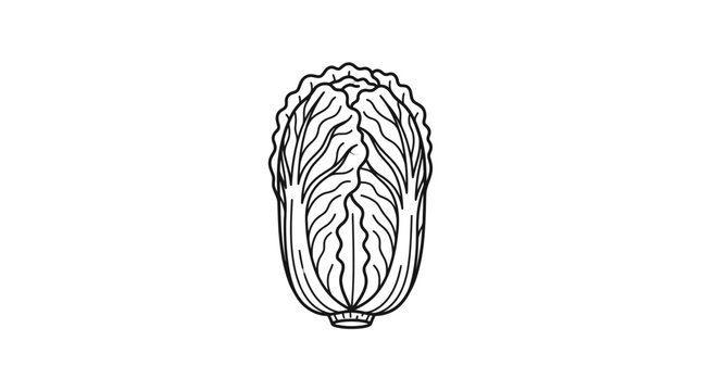 A detailed black and white line art illustration of a fresh napa cabbage.