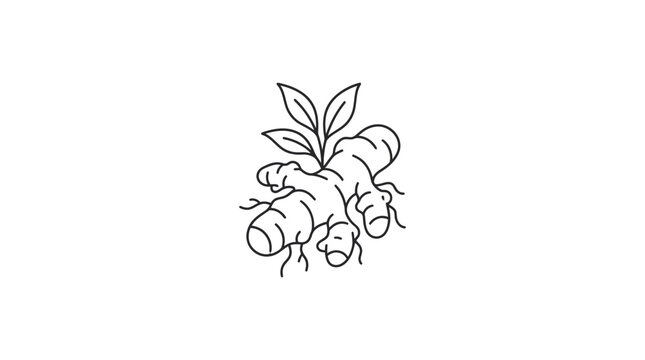 A simple black and white line art illustration of a fresh turmeric root with small green leaves.