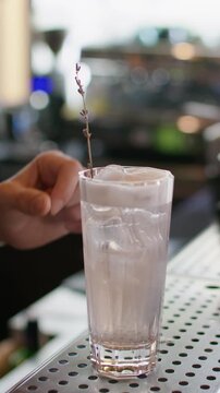 Vertical video. Garnishing cocktail. Ice cream soda. Barkeeper adding blooming lavender branch to cold water in glass. Refreshing beverage with whipped white top.