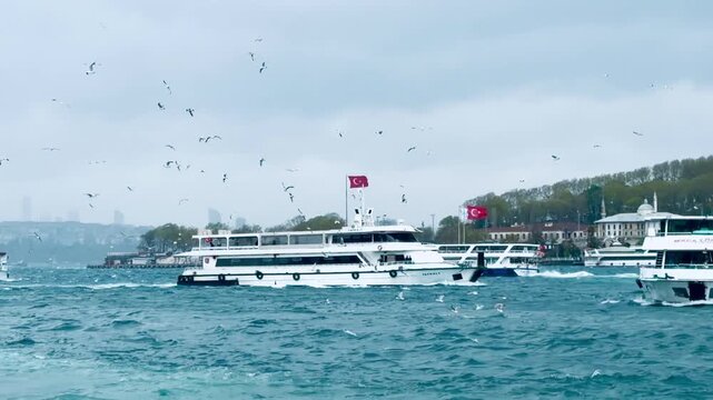 Turkish national flag waving on deck of passenger ships sailing fast across Bosphorus sea strait near Istanbul Golden Horn bay. Maritime transport vessel cruise with white flying seagulls in sky.