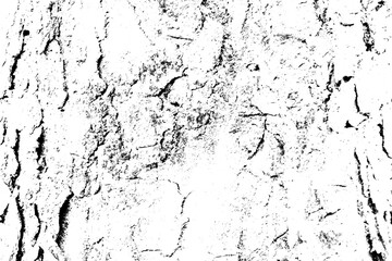 Fototapeta premium Tree Bark Texture Overlay with Distressed Grunge Background
