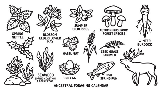Ancestral foraging calendar showing seasonal wild foods and natural resources.