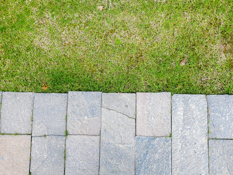 Stone stepping stones path on green grass lawn in garden background