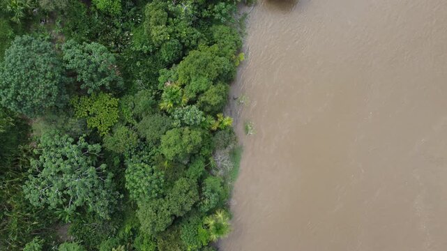 Aerial view of amazon riverbank and rainforest