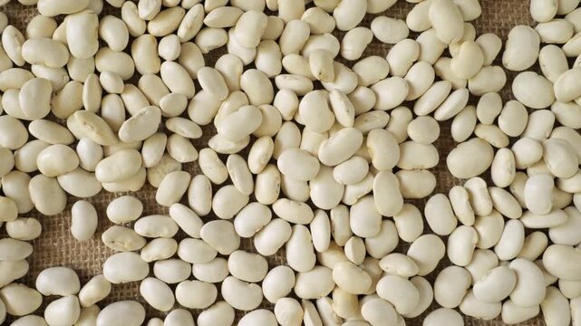 White beans slowly moving on a burlap sack