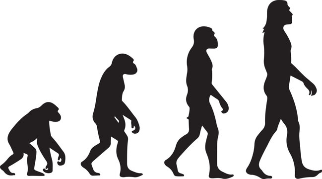 Theory of evolution of man silhouette