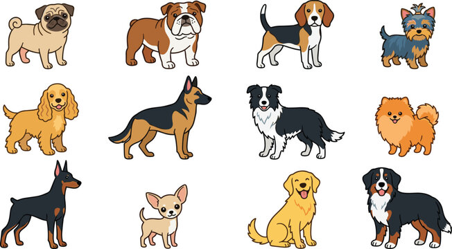 Dog breeds vector collection set featuring popular purebred pets like golden retriever german shepherd pug bulldog corgi beagle and chihuahua isolated on white background