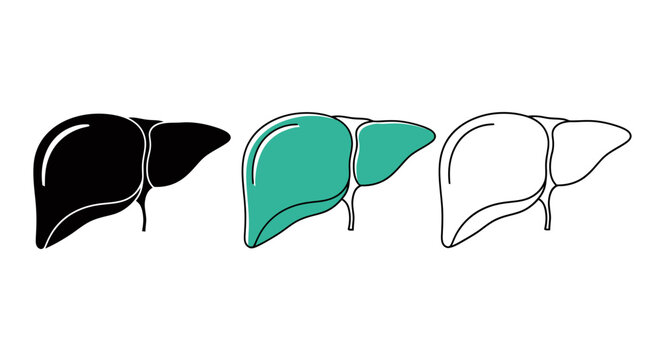 Three stylized liver illustrations in black teal and outline design.