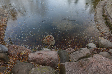 Still pond mirrors sky, leaves drift slowly © gelog67