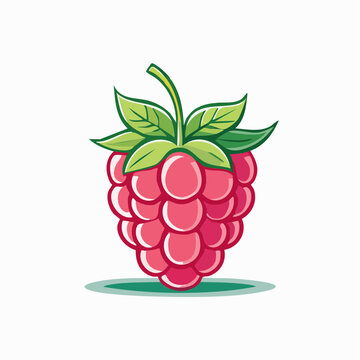 Cartoon Raspberry Illustration