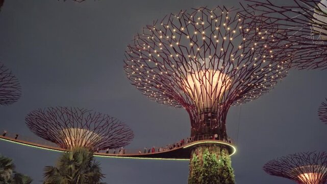 Singapore Supertrees by night with lightshow.