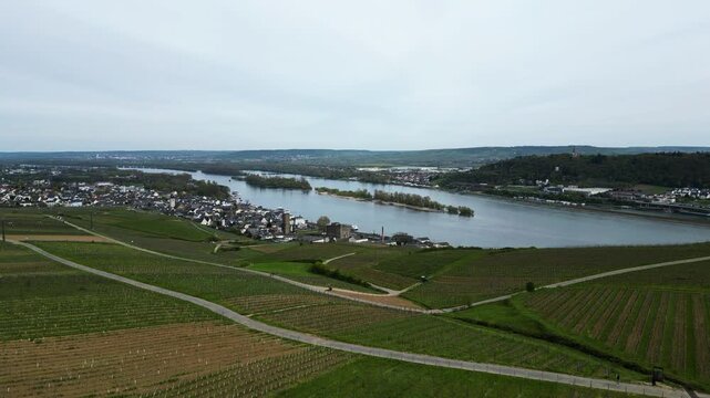 Panoramic drone shot of vineyards, the river and Rudesheim in cloudy Germany
