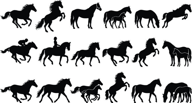 Set of black horse silhouettes featuring various poses including galloping, rearing, jumping, and mares with foals