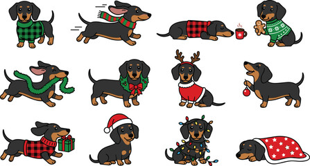 Christmas dachshund dog vector collection set with cute cartoon puppies wearing winter sweaters santa hats scarf reindeer antlers and holiday lights isolated on white background © MDFahim