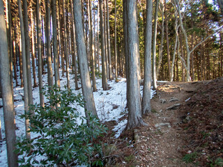 Winter in the Eastern Area of the 10 Famous Mountains of Ogose © U3photos