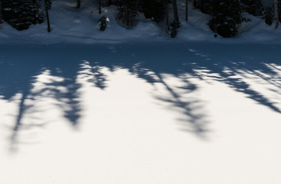 Canada, BC, Manning Park.  Tree shadows fall across frozen lake.