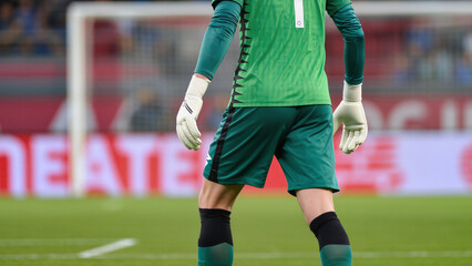 Goalkeeper standing on the soccer field during a match © Jakub