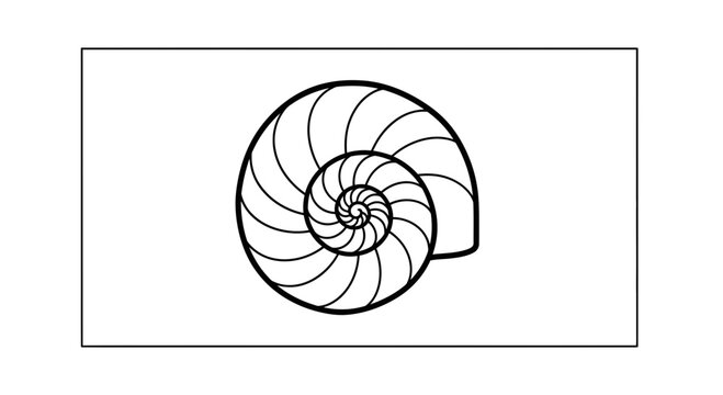 Nautilus Shell Spiral Fibonacci Sequence Illustration