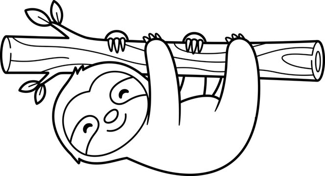 Smiling sloth hanging upside down from a tree branch