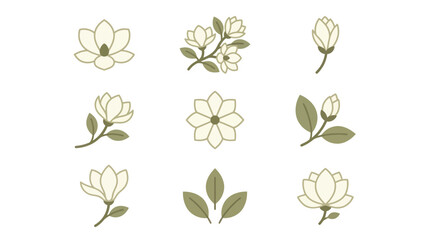 White magnolia flower and bud icon collection © bahriri