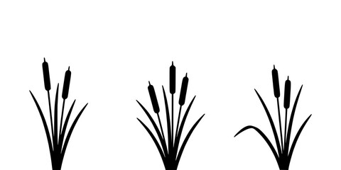 Fototapeta premium Cattails Growing in a Natural Setting with Three Different Silhouettes Featuring Plants, Nature, Wetland with Marsh and Reeds Elements