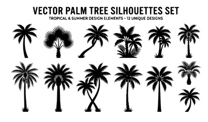 Fototapeta premium Vector palm tree silhouettes set isolated on white for tropical and summer design
