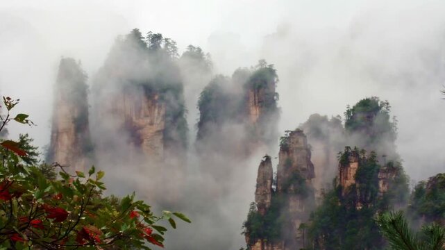A beautiful atmospheric shot of Zhangjiajie's quartz sandstone towers floating in heavy mist, framed beautifully by foreground tree branches showing vibrant red autumn leaves.