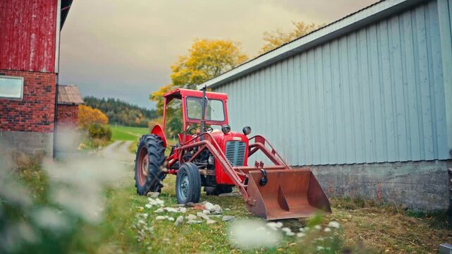 Old Red Massey Ferguson Tractor In The Farm