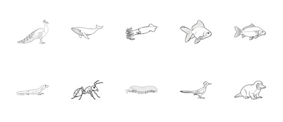 Fototapeta premium Animal Species Outline Icon Set