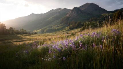 Obraz premium Serene Mountain Landscape with Colorful Wildflowers Under a Golden Sunset in a Tranquil Meadow Setting Surrounded by Majestic Peaks and Lush Forests