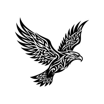 Soaring eagle bird silhouette featuring intricate tribal pattern graphics silhouette ornament wildlife abstract predator decorative majestic