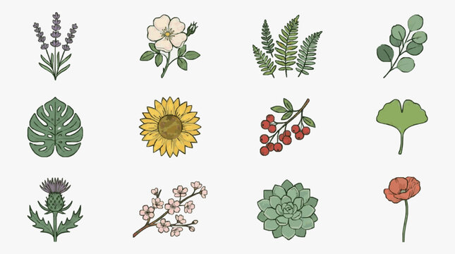Botanical Floral Line Art Collection.