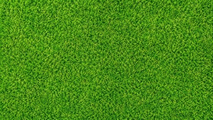 Obraz premium Top view of a lush green grass field texture for background design
