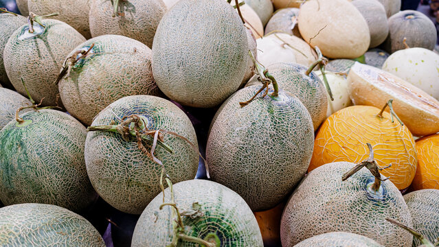 Freshly Harvested Ripe Cantaloupe Melons Displayed for Sale at a Vibrant Local Farmers Market Stall
