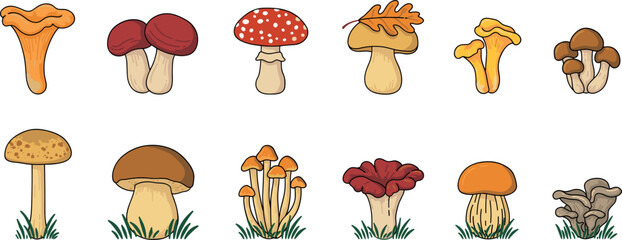 Cute cartoon autumn mushrooms and forest fungus collection vector illustration isolated on white background © Sufea