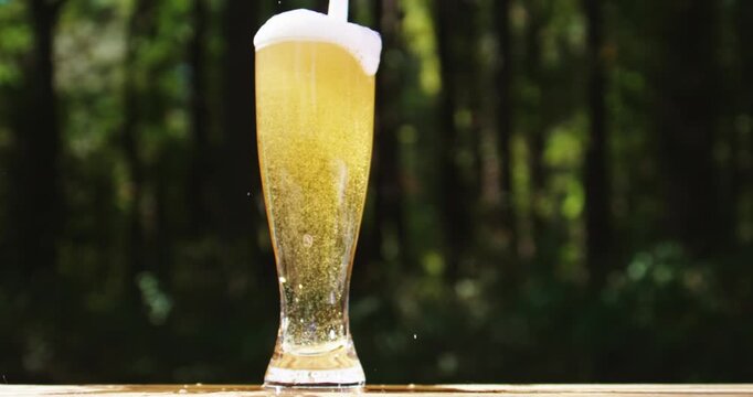 Golden craft beer poured on green outdoors. Lager beer with foam in glass mug. Beer splash on nature background. Pouring amber ale in nature. Brewed beer with bubbles and foam. Craft brewery lager.