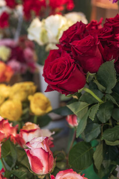 Ramos de rosas rojas frescas en una florister&iacute;a con fondo desenfocado.