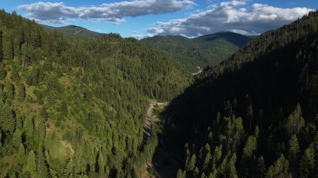Aerial of forest valley and mountains in Shoshone County Idaho along Pine Creek featuring dense evergreen trees under a partly cloudy sky