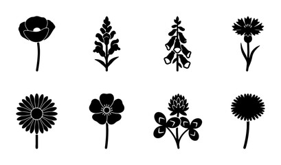 Set of 8 Black Silhouette Wildflowers, Botanical Vector Icons, Floral Elements for Design © Taskin