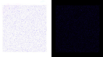 Fototapeta premium Microscopic view of cellular structures highlighted with fluorescent staining techniques