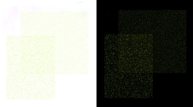 Microscopic view of glowing green particles against a light background contrast