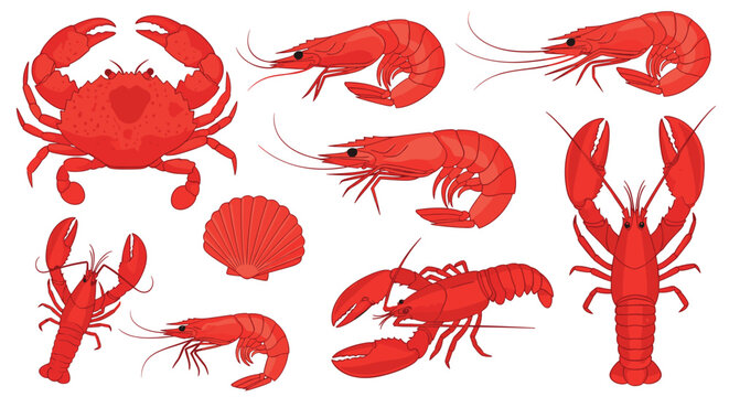 Collection of various red seafood items including crab and shrimp for fish market branding and mediterranean restaurant menu icons.