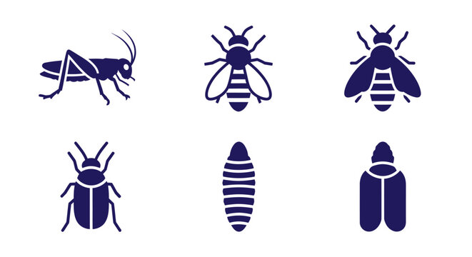 Insect and Larva Icon Set