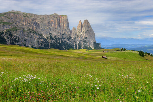 View over the alpine meadows towards the peaks of the Schlern on the Seiser Alm, Dolomites, South Tyrol, Italy.